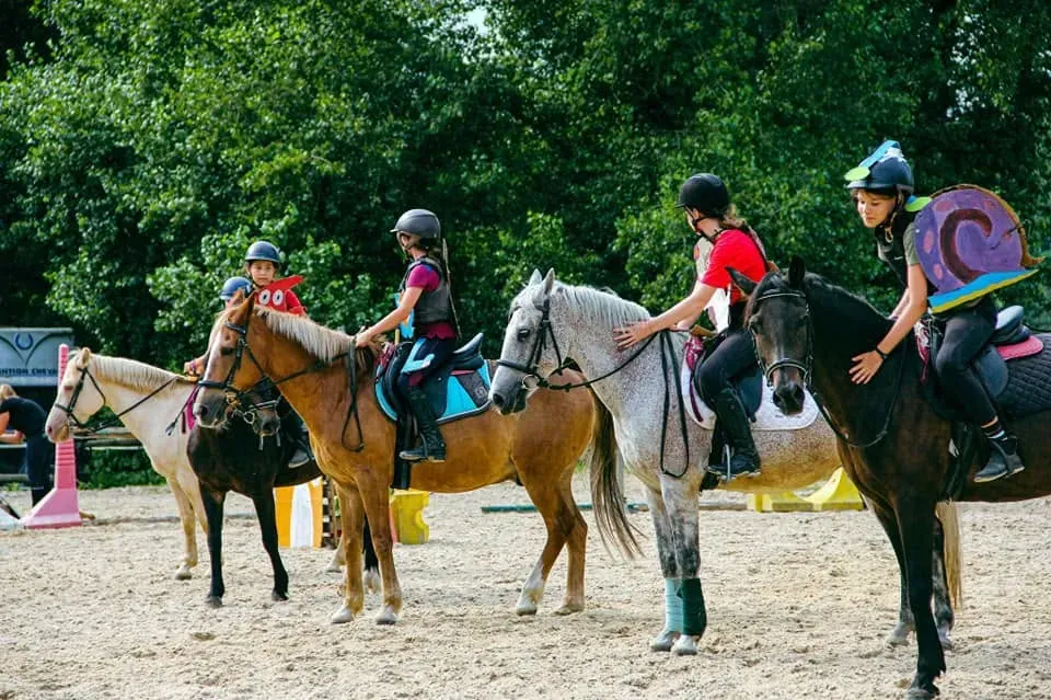Cours equitation (1)