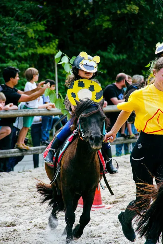 Stage d'equitation pendant les vacances (1)
