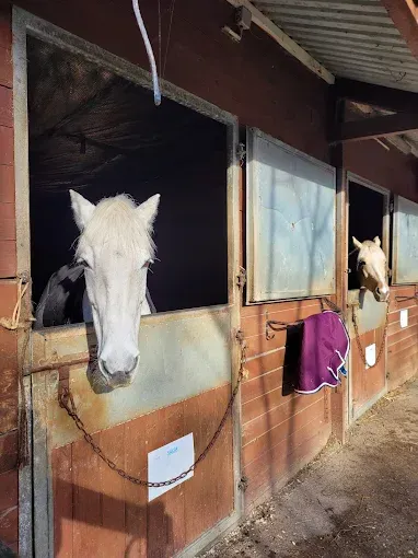 Box du centre equestre (2)