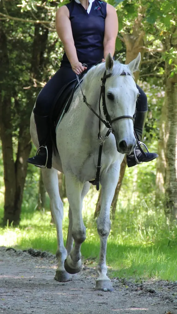 Balade a cheval (4)